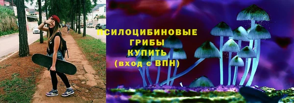 mdpv Алзамай