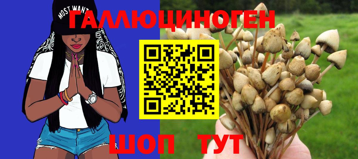 Галлюциногенные грибы мицелий Балашиха